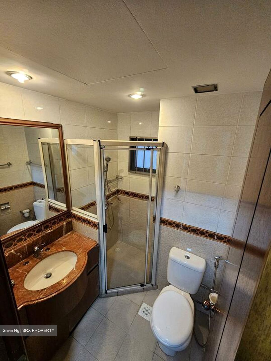 Regentville (D19), Apartment #496505741